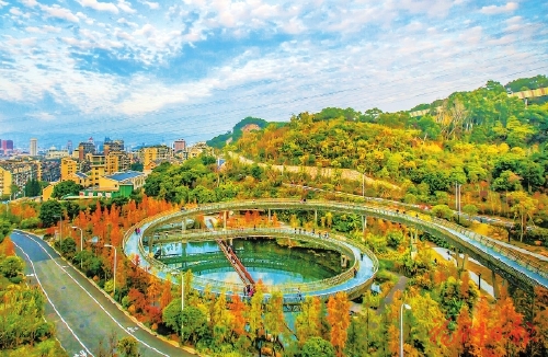 绿色客厅20200907_001_02_81.jpg